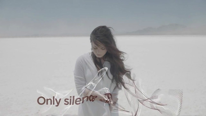 Demi Lovato - Skyscraper (Official lyric video) 316