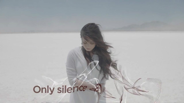 Demi Lovato - Skyscraper (Official lyric video) 317