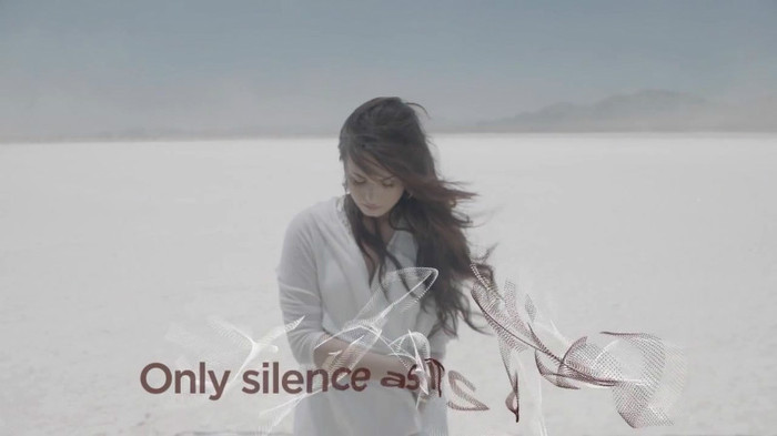 Demi Lovato - Skyscraper (Official lyric video) 319