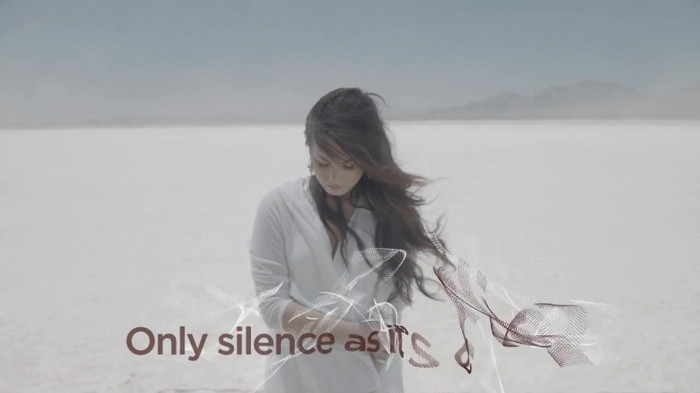 Demi Lovato - Skyscraper (Official lyric video) 320