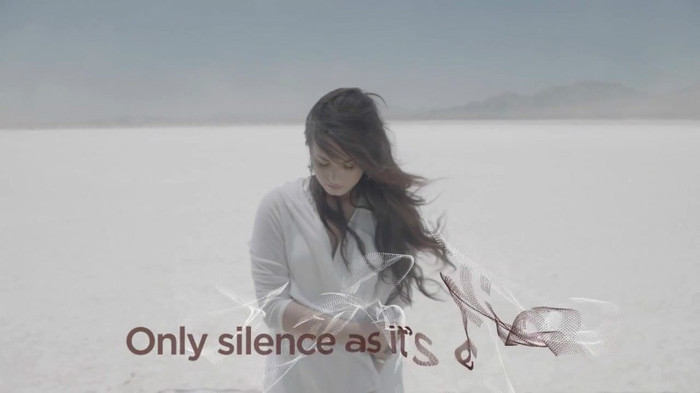 Demi Lovato - Skyscraper (Official lyric video) 321