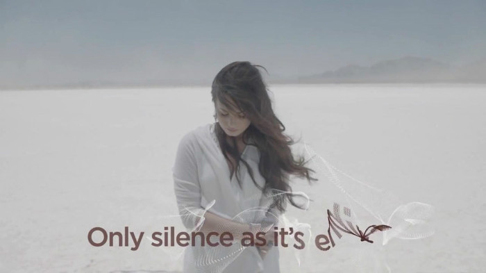 Demi Lovato - Skyscraper (Official lyric video) 324