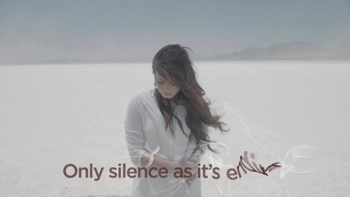 Demi Lovato - Skyscraper (Official lyric video) 325