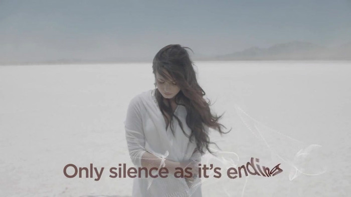 Demi Lovato - Skyscraper (Official lyric video) 327