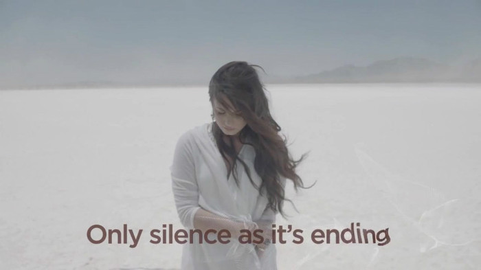 Demi Lovato - Skyscraper (Official lyric video) 330