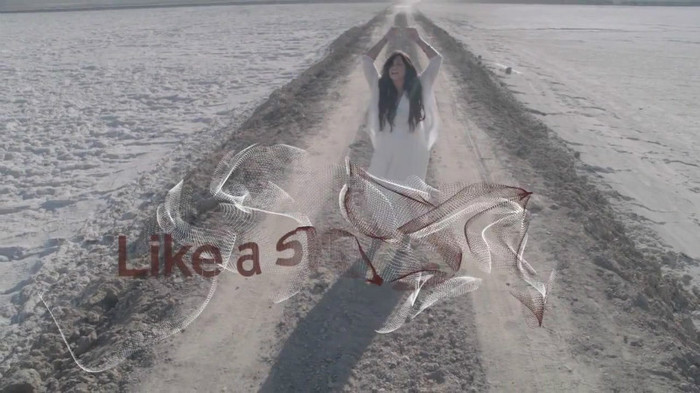 Demi Lovato - Skyscraper (Official lyric video) 775 Demi Lovato - Skyscraper (Official lyric video) 775