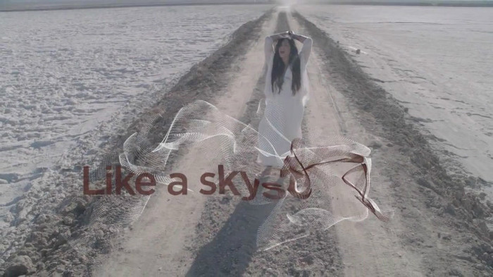 Demi Lovato - Skyscraper (Official lyric video) 779 Demi Lovato - Skyscraper (Official lyric video) 779