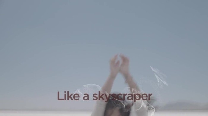 Demi Lovato - Skyscraper (Official lyric video) 1902