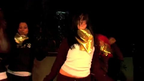 Demi Lovato 17th Birthday Party 460