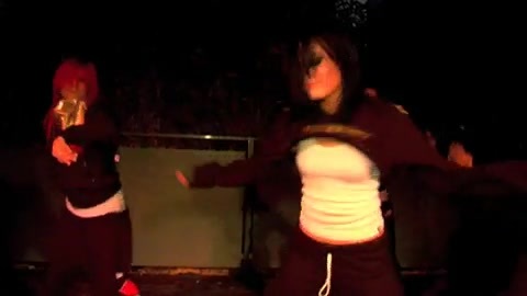 Demi Lovato 17th Birthday Party 1134