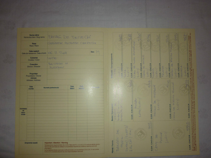 Pedigree-Baltag de Beltechi