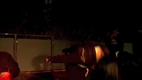 Demi Lovato 17th Birthday Party 1178 Demi Lovato 17th Birthday Party 1178