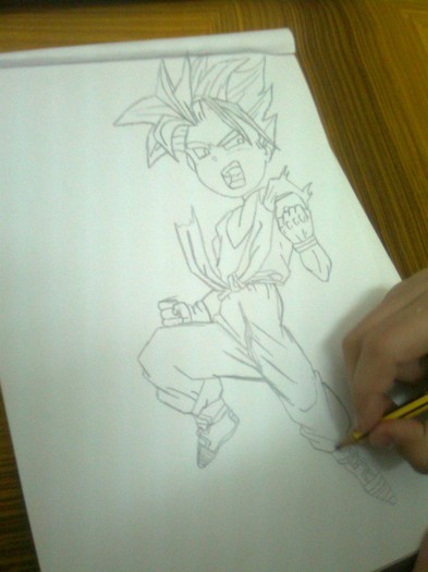 Immag1706 - trandafiri NOU