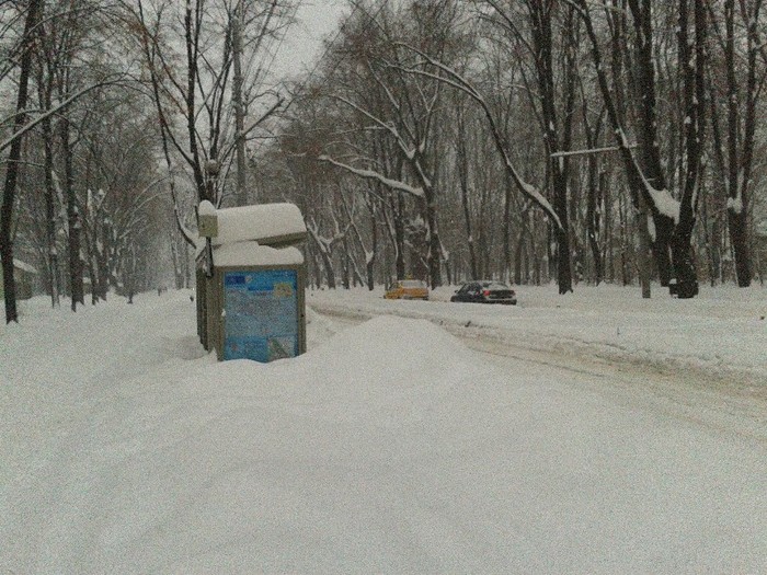 C360_2012-02-14-07-59-48 - iasi - iarna2012