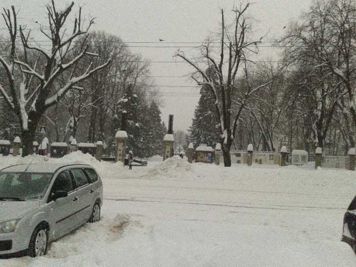 C360_2012-02-14-08-07-34 - iasi - iarna2012