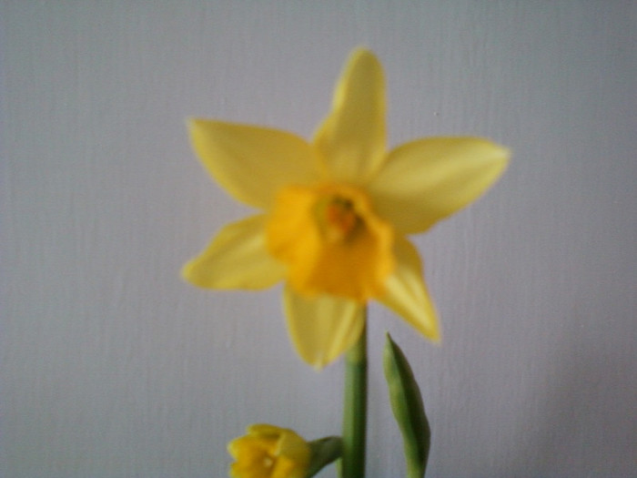 14 febr 2012 069