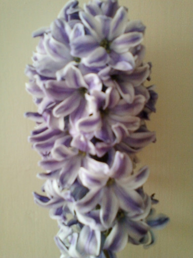 14 febr 2012 074