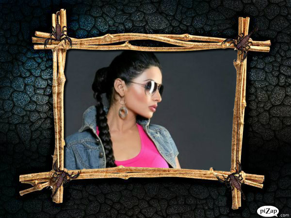 pizap_com10_205433921422809361329162495531