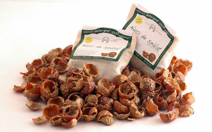 Sapindus Mukorossi - 1-de vanzare 2019-2020- SEMINTE TROPICALE RARE