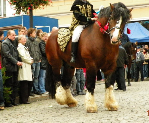 07fa470a2c6f8a5fmed[1]