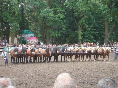 20ba67ee1c963a77med[1]