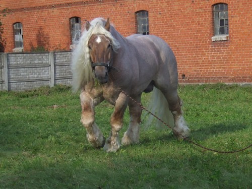 rr7xn4etfxrx7i58gbedp2j56wn59yMAJOR%20(500%20x%20375)[1]