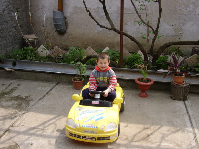 alexandru 4 ani - Vitori fermieri