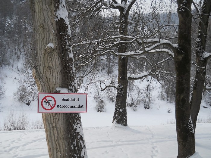 027 - acelasi parc iarna