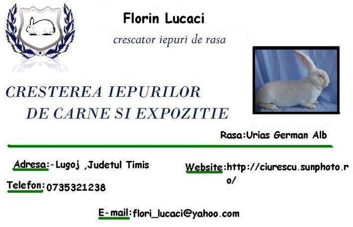 Carte de Vizita Flooo - Contact