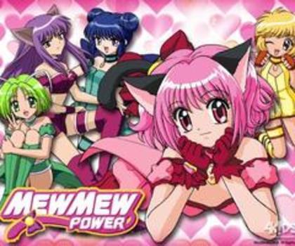 Tokyo Mew Mew - Lista de Anime-uri