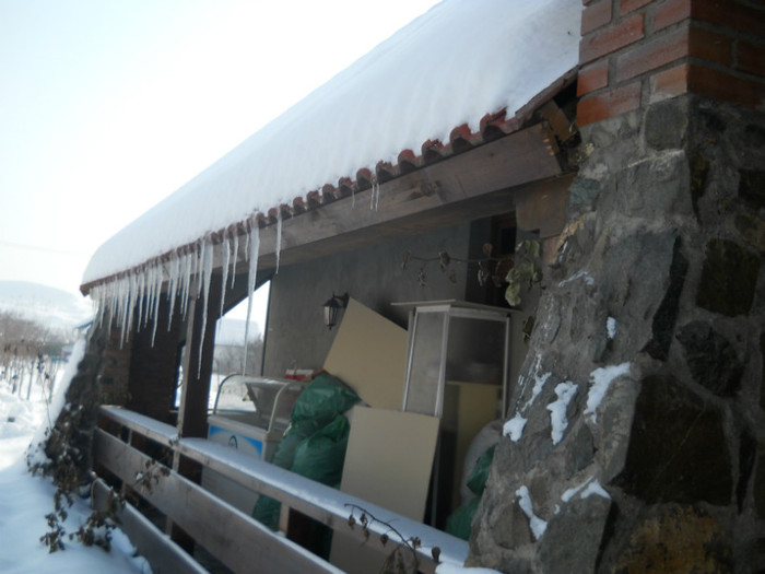 avem turturi de ghiata