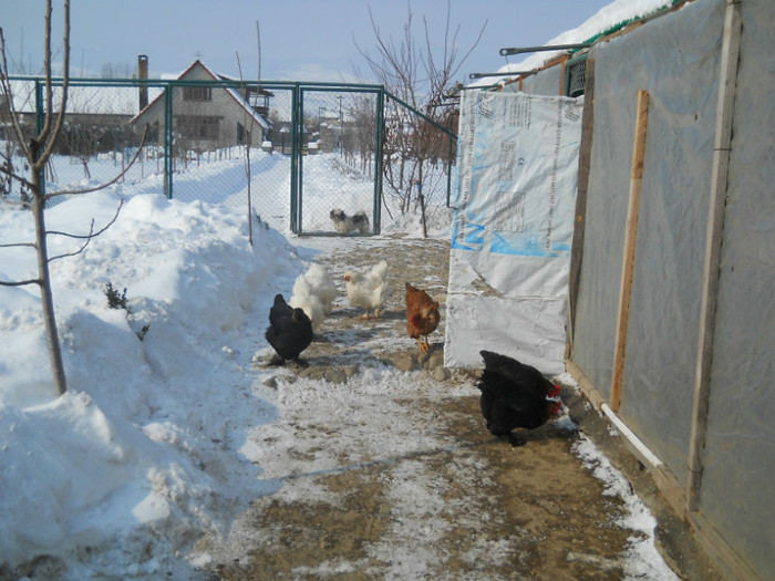 de la gaini se vede casa