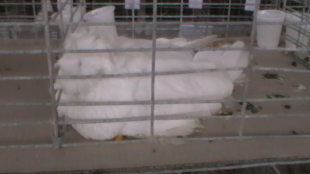 IMGA0589
