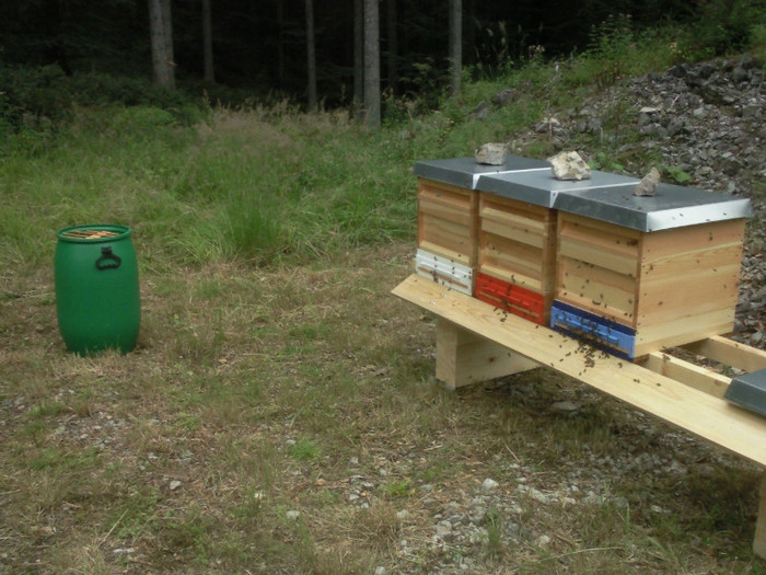 Fotografie531 - incept de apicultura in Austria