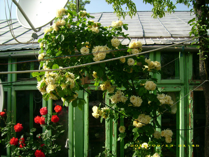 DSCI1025 - vara 2011