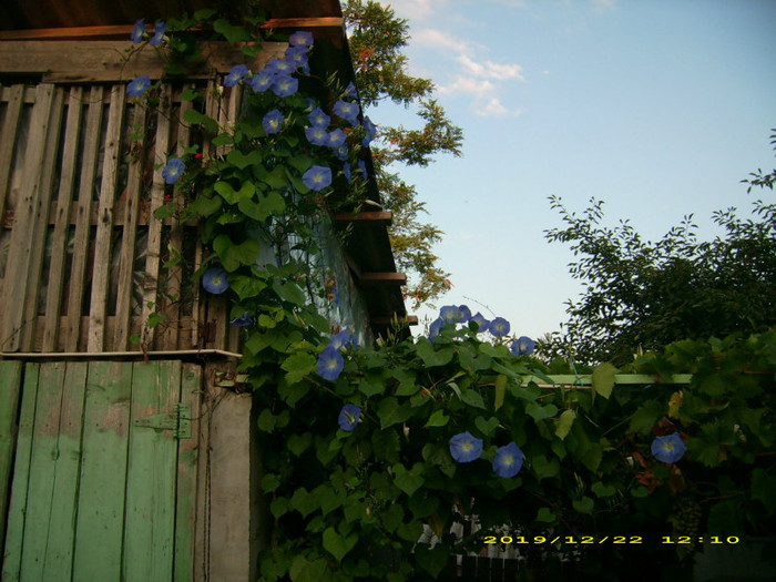 DSCI1045 - vara 2011