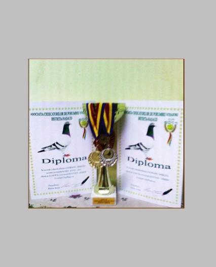CUPA & DIPLOME & MEDALI - Rezultate pui 2011
