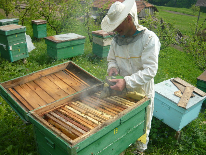Cimpoierul Costel - apicultura