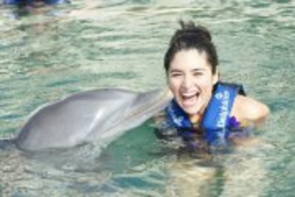 393728_340990075917427_121794374503666_1599018_2111730694_a