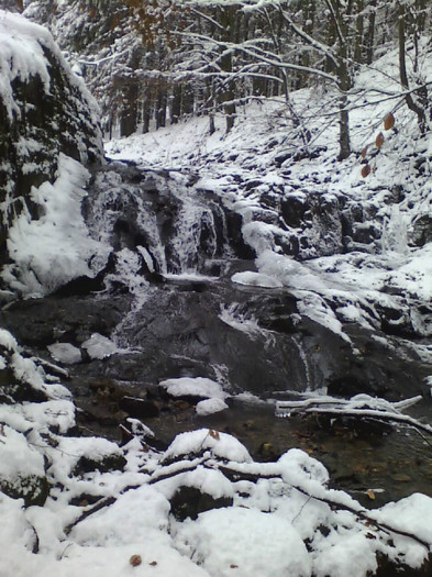 la cabana cerbului (3) - zile de vacanta iarna