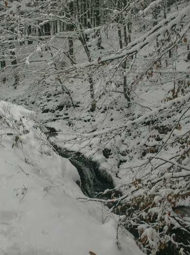 zile de vacanta..iarna. (28) - zile de vacanta iarna