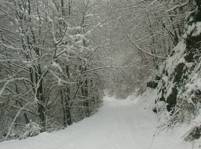 zile de vacanta..iarna. (34) - zile de vacanta iarna