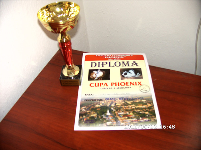 03.02.2012 Marghita - TROFEE SI CAMPIONI