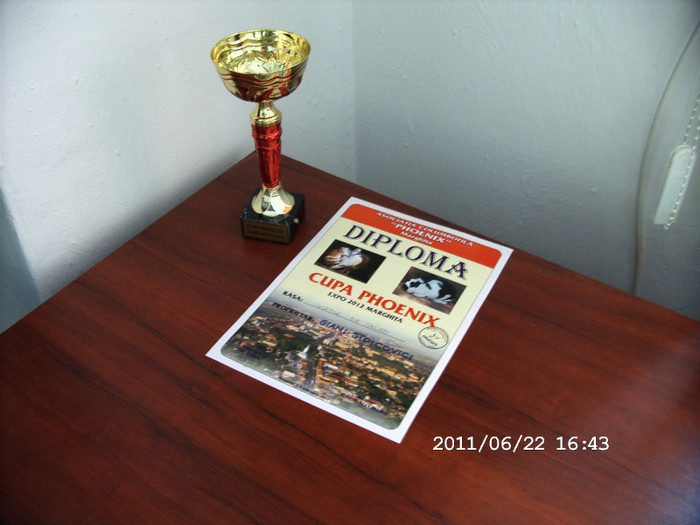 03.02.2012 Marghita - TROFEE SI CAMPIONI