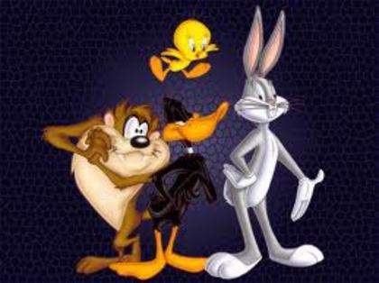 desc%u0103rcare (13) - LOONEY TUNES