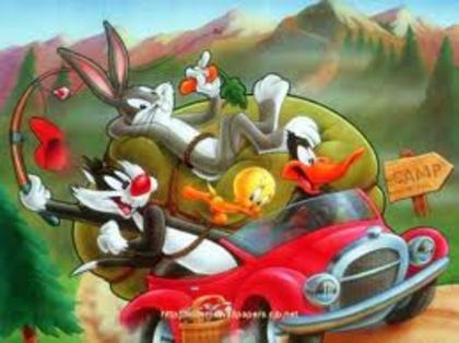 desc%u0103rcare (14) - LOONEY TUNES