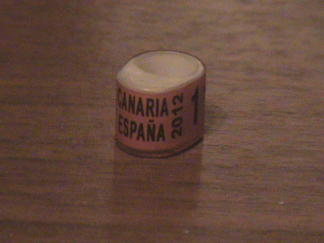 DSC03448 - Spania