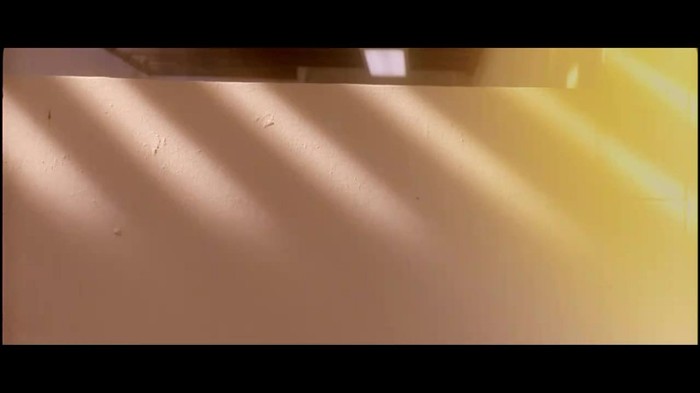 Selena Gomez & The Scene - Who Says 333