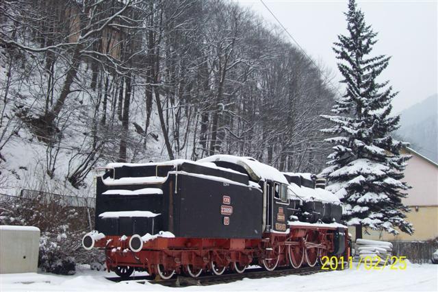 101_7867 (Small) - Sarbatoarea  de 16 februarie 2012    ZIUA CEFERISTILOR