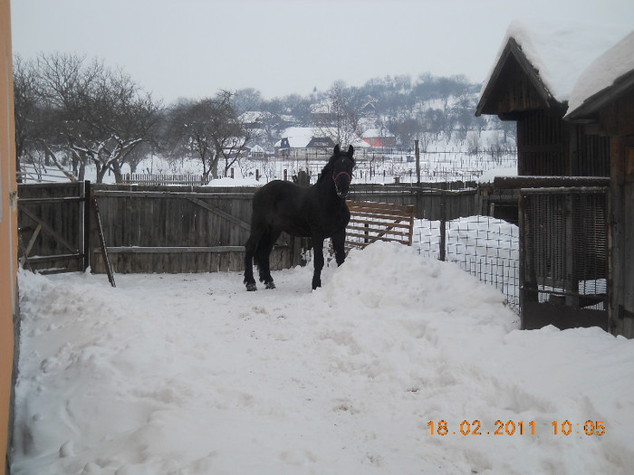 ioncy 1an si 10 luni